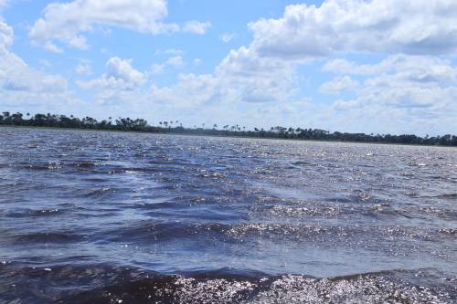 Laguna Mancornadas