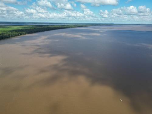 Laguna Mancornadas