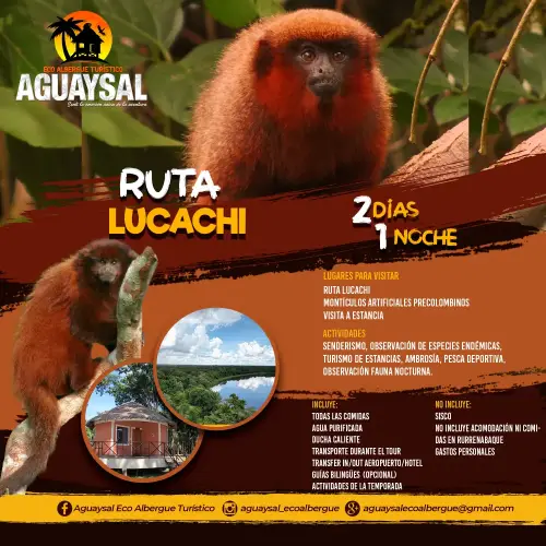 Ruta Lucachi