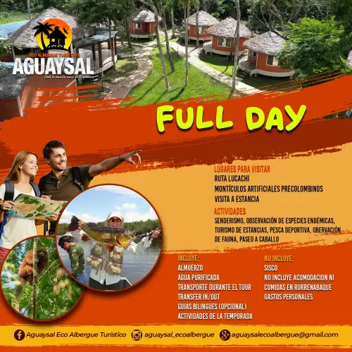 Full Day